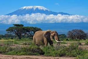 Танзания: эксклюзивный отдых для любителей экзотики